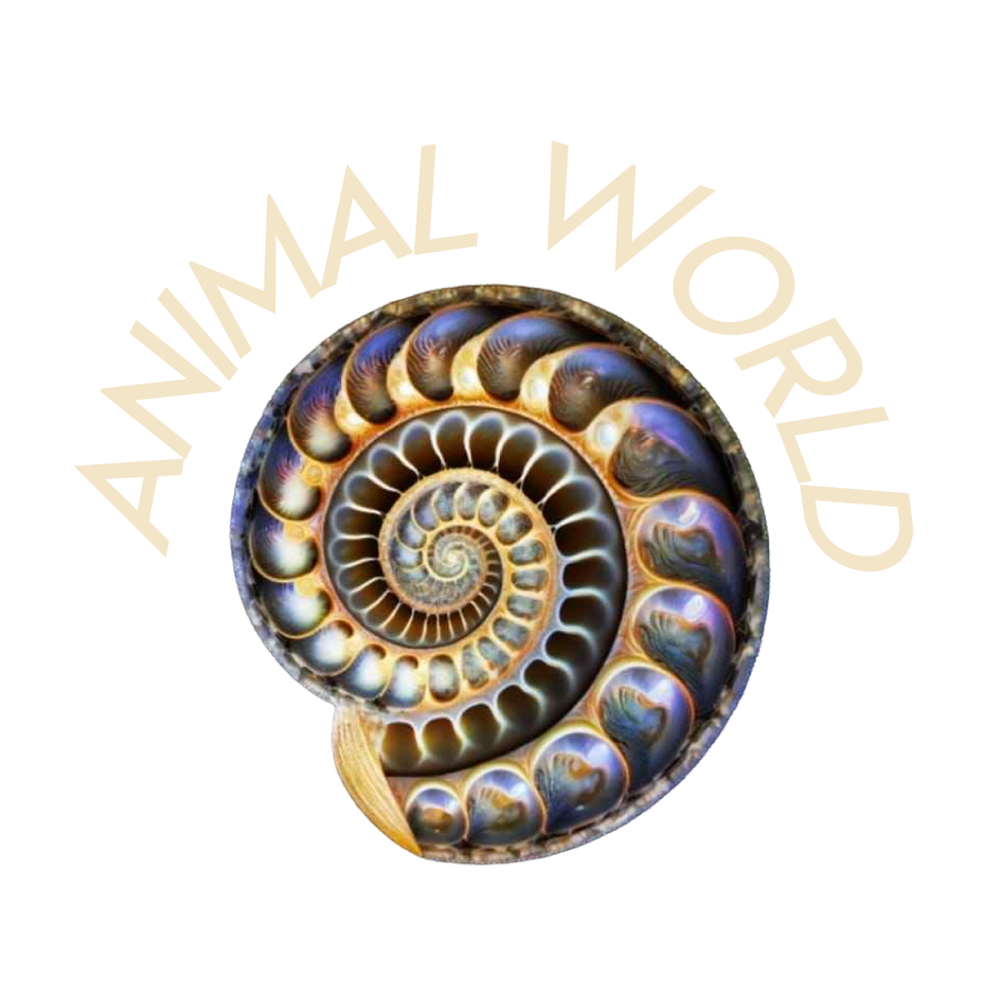 Animal World Lecce