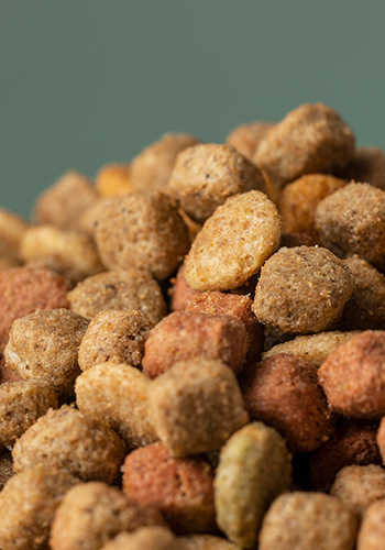 Pet Food